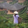 Découverte Top Des Incontournables à Mae Hong Son Thaïlande 