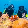Phuket En Famille - 10 Choses à Faire Avec Les Enfants
