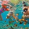 Combien Coûte Le Snorkeling En Thaïlande ?