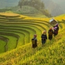 Est-ce Que 2000 Euros Suffisent Pour 3 Semaines Au Vietnam ?
