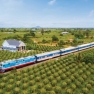 Quelles Sont Les Routes Ferroviaires Les Plus Pittoresques Au Vietnam?