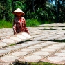 Que Faire à Ben Tre ? Visiter Le Village D'artisanat Du Papier De Riz De My Long à Ben Tre, Vietnam