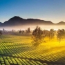 Avis De 5 Jours Aux Hauts Plateaux Du Centre Vietnam Par M. Hamid