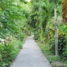 Que Faire à Can Tho: Visite Du Jardin Fruitier Can Tho De Ba Cong