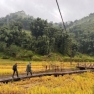 Que Faire à Lao Cai Vietnam ? Melleures Activités à Ne Pas Manquer
