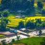 Que Faire à Sapa ? Explorer La Beauté Insolite Du Village Y Linh Ho