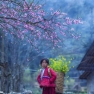 Remarques Pour Voyage Cao Bang Ha Giang Sapa 6 Jours Par Mr. Radley