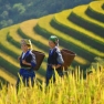 Le Point De Vue Sur 15 Jours Au Vietnam En Novembre Par M. Luthier