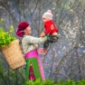 Visitez Ha Giang 3 Jours : Avis De L'itineraire De Voyage Par M. Faure
