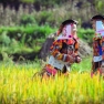 Que Savoir Sur Ha Giang Guide Voyage Complet Au Vietnam ?