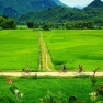 Avis D’une Semaine à Mai Chau Pu Luong Tam Coc Halong Par Mr. Kelly