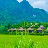 Découvrez Le Village De Poom Coong : Un Joyau Culturel à Mai Chau, Vietnam