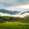 Guide De Voyage à Pù Luông : Découvrez Le Secret Pour Prendre De Belles Photos à Pu Luong