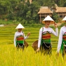 Explorez Le Village De Kho Muong : Un Joyau Naturel à Pu Luong, Vietnam
