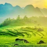 Que Faire à Pu Luong Vietnam En 3 Jours? Itinéraire Pu Luong 3 Jours