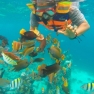 Snorkeling Au Nord Et Au Sud Du Vietnam - Quelle Région Choisir ?