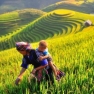 Que Faire à Yen Bai 3 Jours? Avis D’itinéraire Nord Vietnam De M. Mike