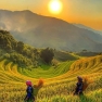 Mu Cang Chai Vietnam: Pourquoi Visiter, Que Faire, Conseils De Voyage Et FAQ? 