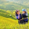Vallée De Tu Le: Un Guide Complet Pour Votre Visite à Tu Le Vietnam