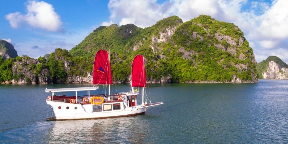 Croisière privée d'une journée Amazing Sails Explorer