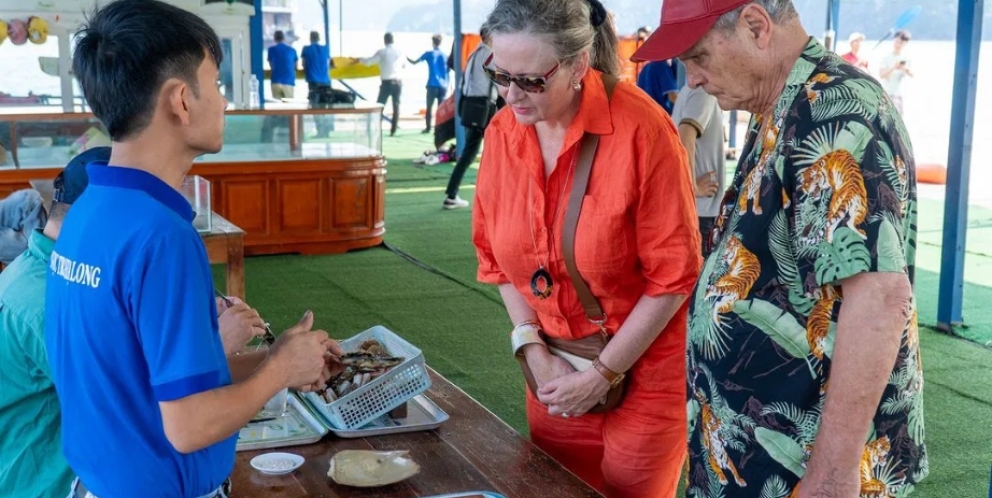 Activités respectueuses de l'environnement pour les touristes