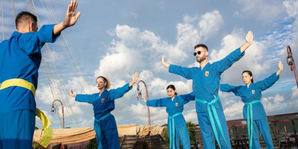 Faire Vovinam