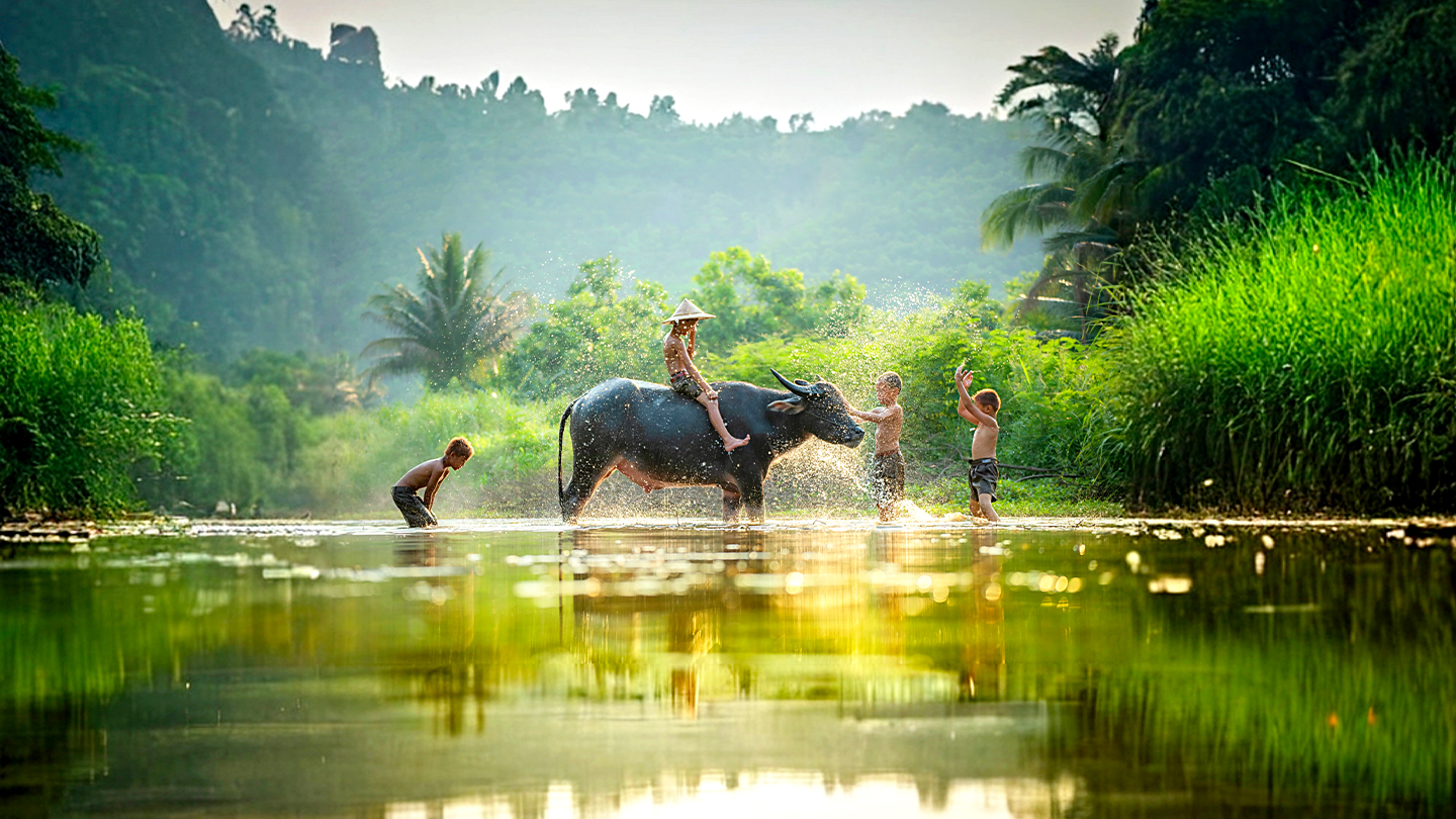 Voyage Vietnam