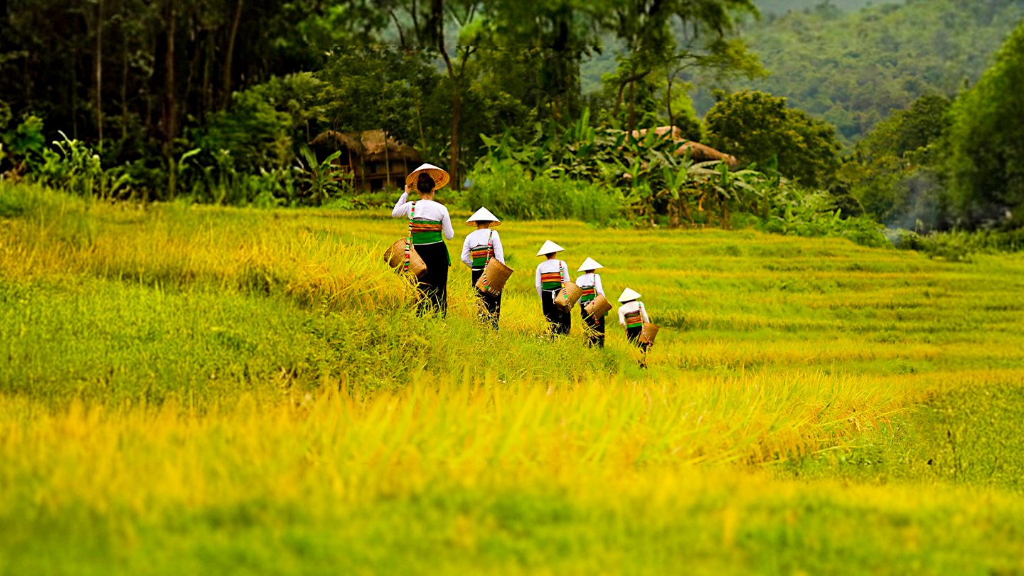 Pu Luong - Vietnam