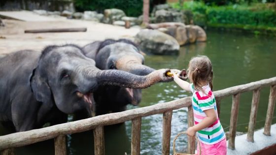Combien coûte un voyage famille au Laos ?