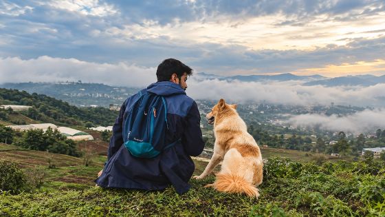 Top 6 hôtels pet-friendly au Laos pour un séjour avec son animal