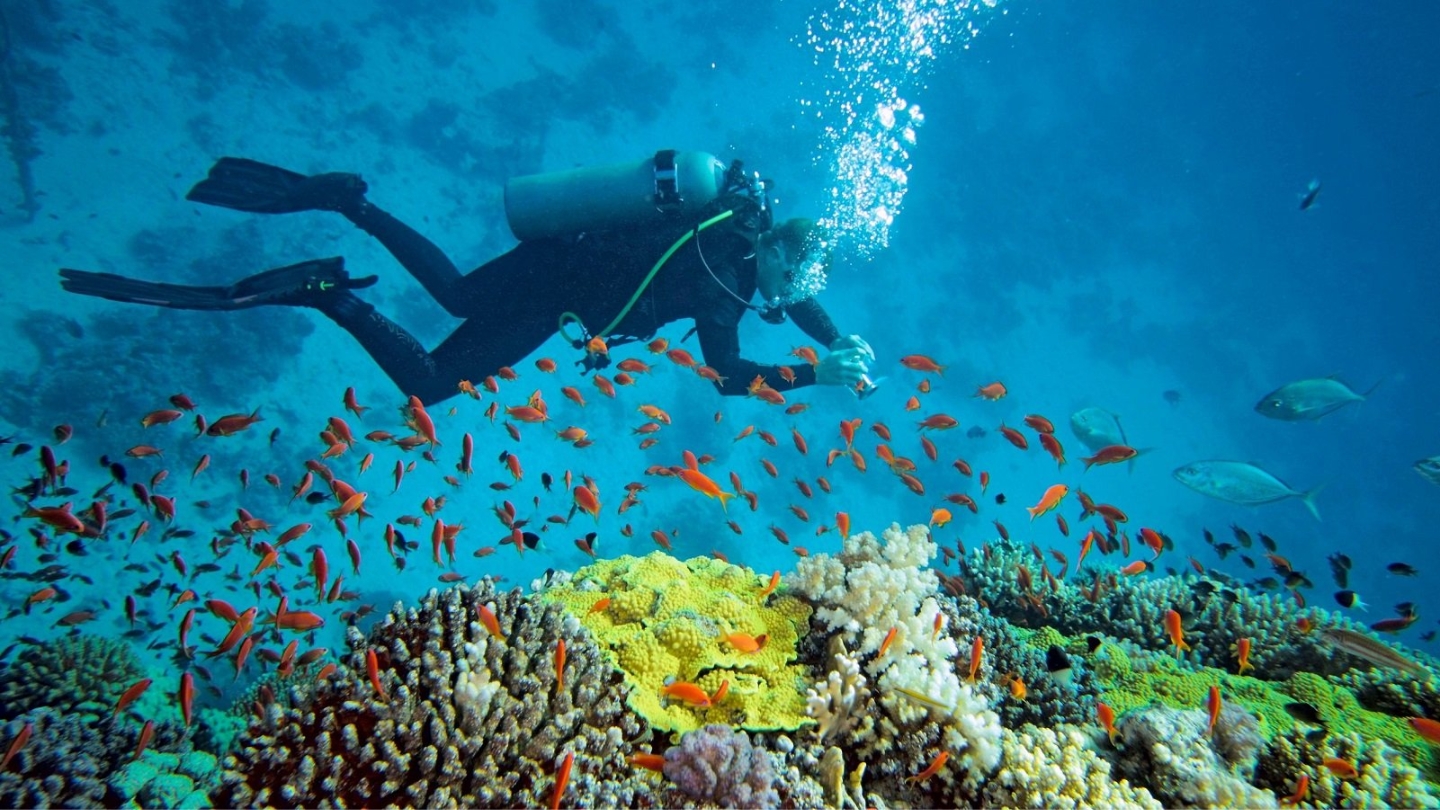 Quels conseils pour faire du snorkeling au centre du Vietnam ?