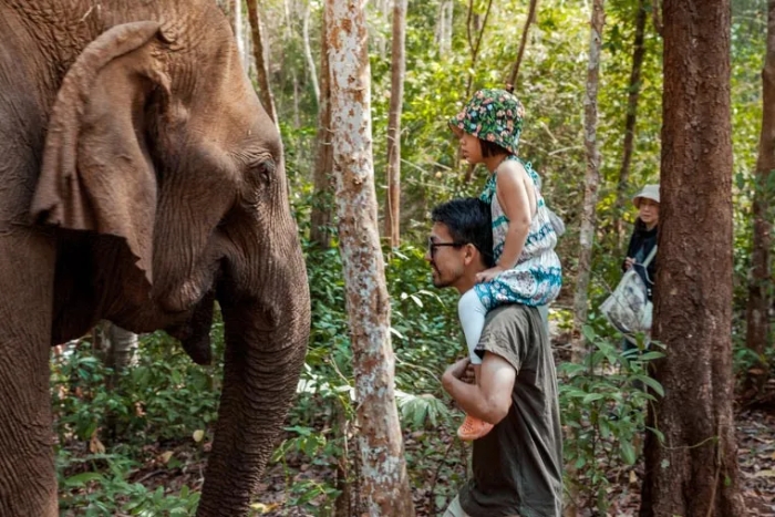 Le sanctuaire des éléphants à Mondulkiri
