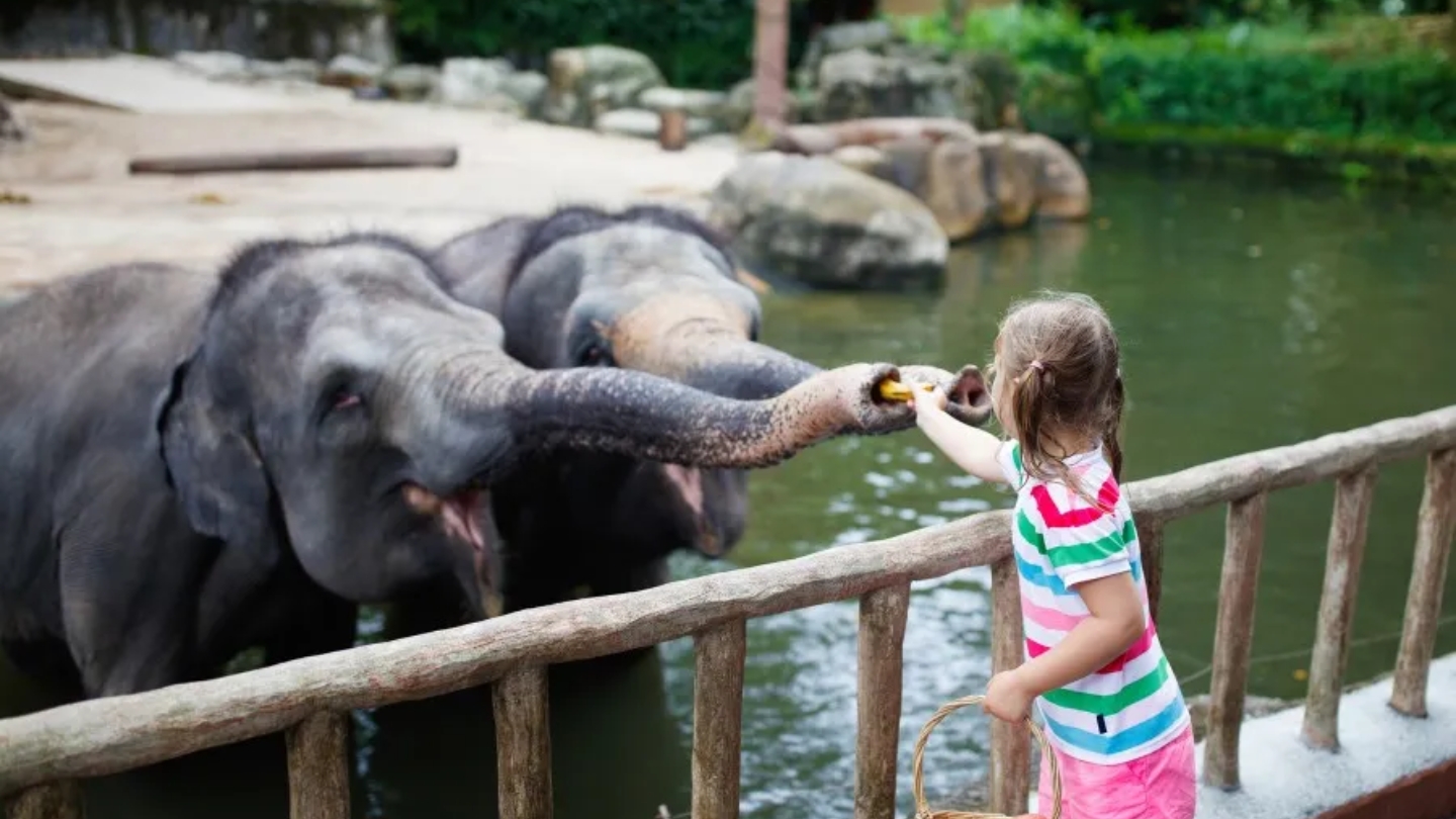 Combien coûte un voyage famille au Laos ?