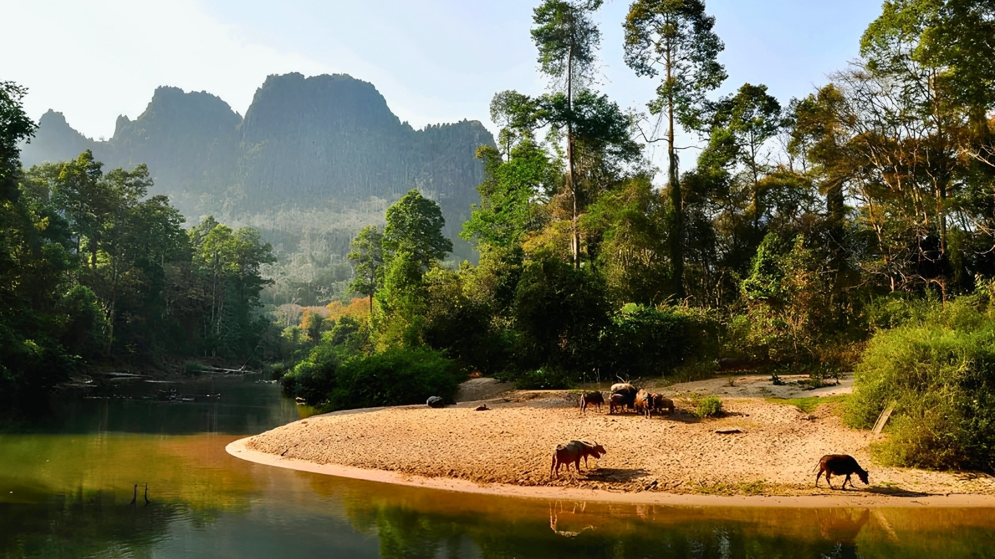 Le charme authentique des paysages ruraux de Khammouane