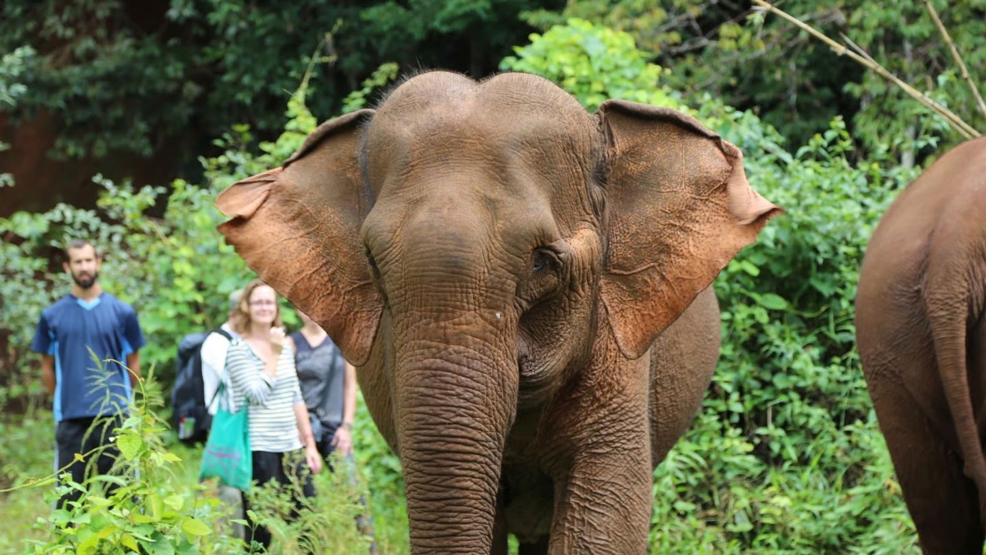 Voyage à Mondulkiri en couple