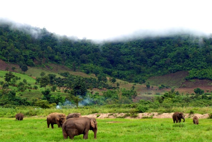 Mondulkiri avec des enfants