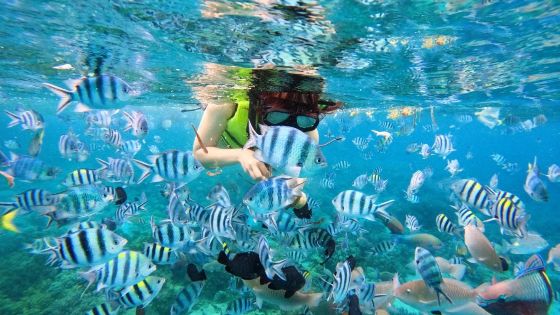 Où faire du snorkeling au centre du Vietnam ?