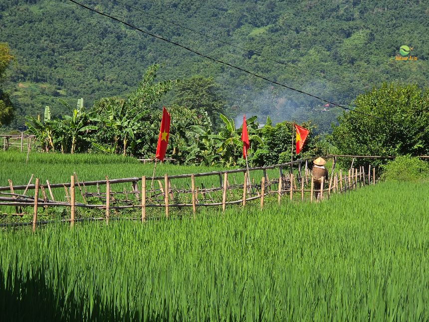 15 jours inoubliables au Vietnam avec Autour Asia 4