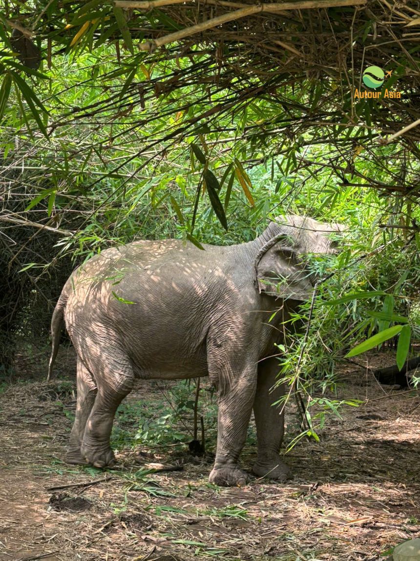 Un voyage au Vietnam parfaitement organisé grâce à Autour Asia 5