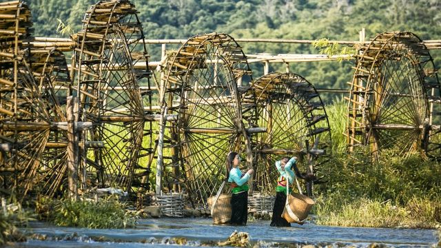 Les roues à eau traditionnelles de Pu Luong