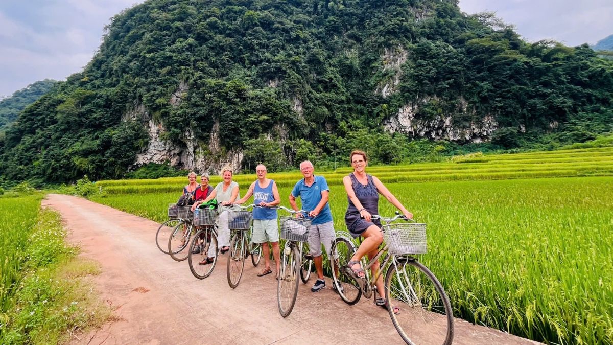 Balades à vélo au cœur de la nature