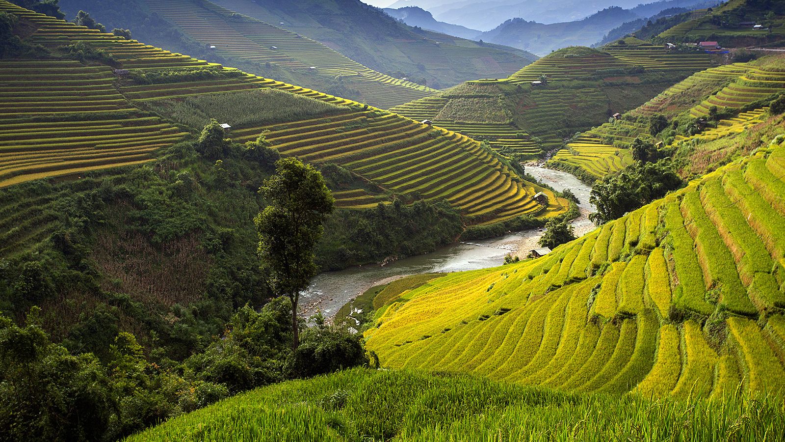 2 semaines au Vietnam