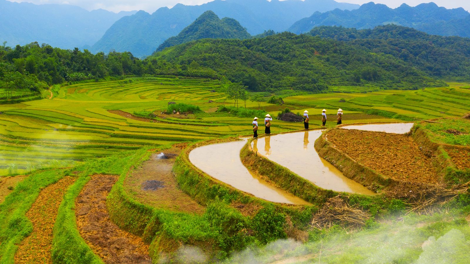 Circuits Vietnam