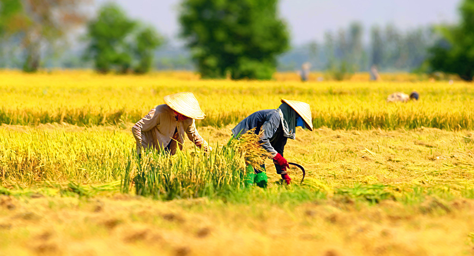 L’automne au Vietnam - une saison idéale pour voyager
