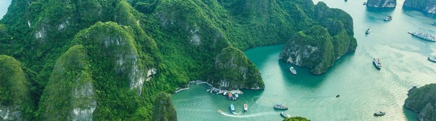 Guide Du Formulaire De Pr&eacute;-arriv&eacute;e Au Vietnam (72h Avant Votre Arriv&eacute;e)