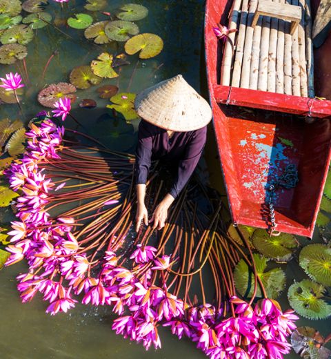 Excursion à Baie dHalong terrestre (Tam Coc ou Thung Nham) Ninh Binh 1 Jour