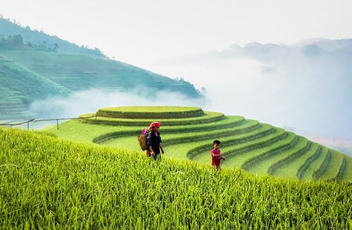 Mù Cang Chải - Hanoï (Petit-déjeuner)
