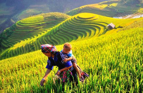 Hanoï - Nghĩa Lộ - Tú Lệ (Dîner)