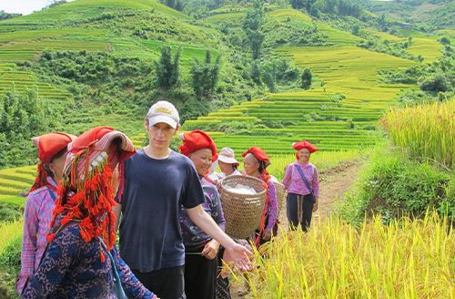 Sapa - Randonnée Aux Villages Cat Cat, Y Linh Ho, Lao Chai, Ta Van - Chez Lhabitant (Pd ; Déj; Dîner)