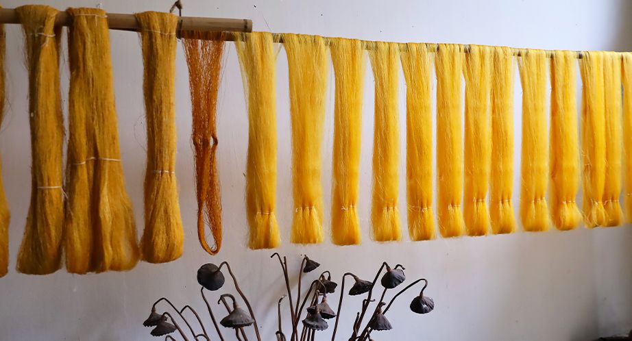 Atelier de soie de Phùng Xá, Hanoi